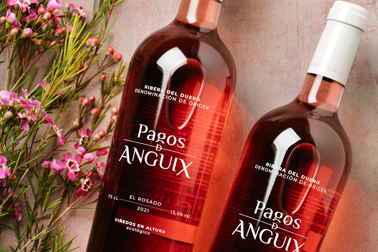 El Rosado 2021 de Pagos de Anguix, elegant i versàtil, és un homenatge als històrics “claretes” de la Ribera del Duero