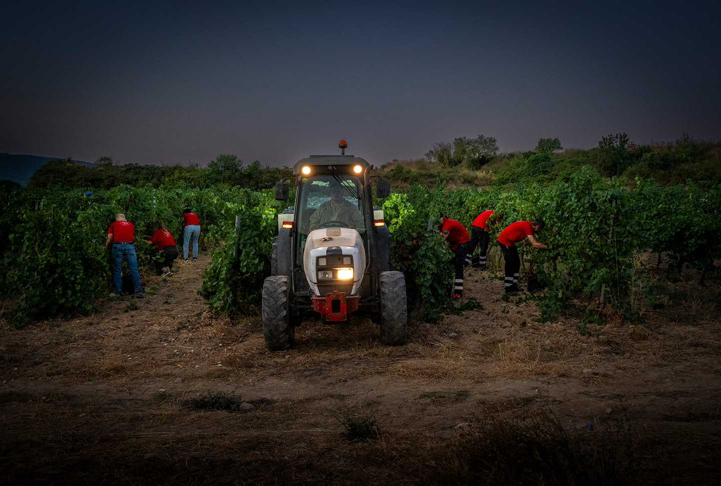 Veremadors i tractor a Juvé i Camps durant la verema nocturna de 2026